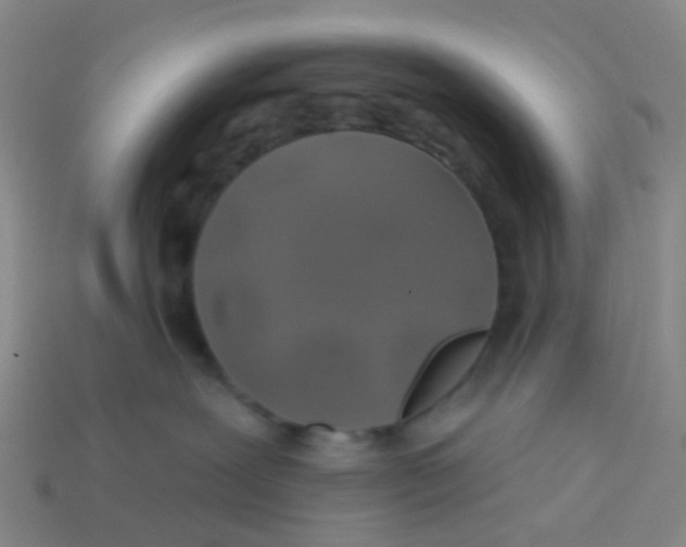 X0000113530239200910161356