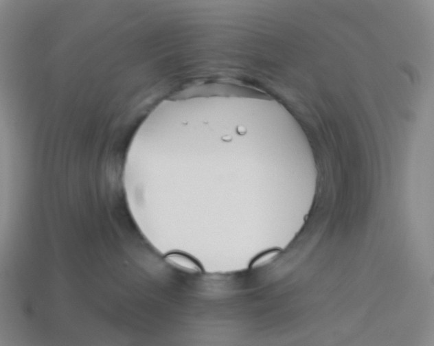 X0000113530240200910161356