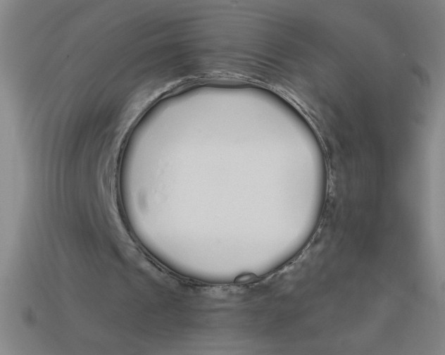 X0000113530241200910161356