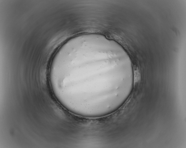 X0000113530243200910161356