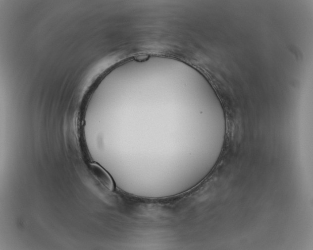 X0000113530244200910161356