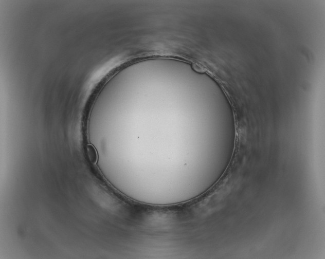 X0000113530248200910161356