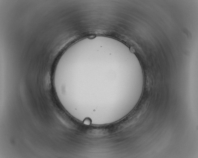 X0000113530251200910161356