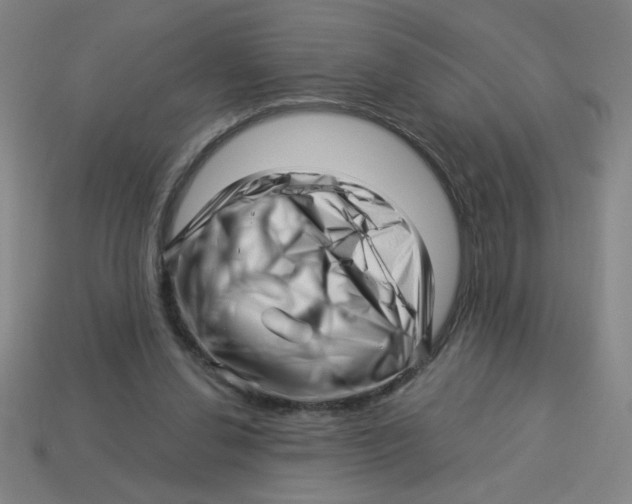 X0000113530252200910161356