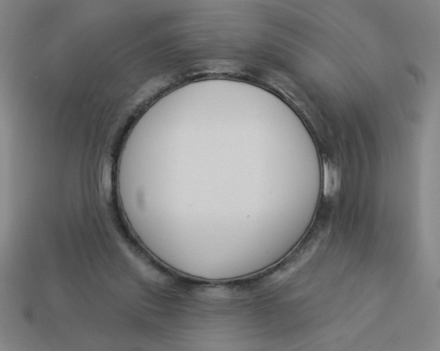 X0000113530253200910161356