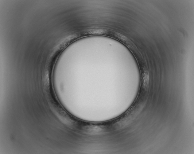 X0000113530254200910161356