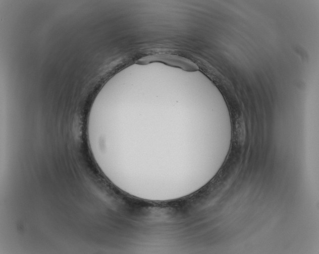 X0000113530255200910161356