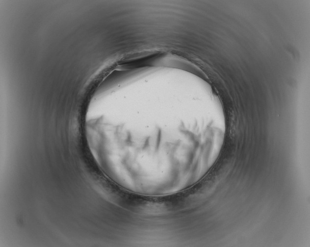 X0000113530256200910161356