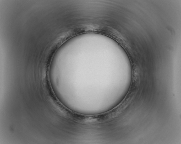 X0000113530257200910161356