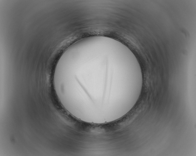 X0000113530258200910161356