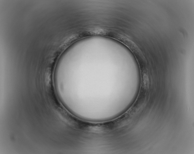 X0000113530259200910161356