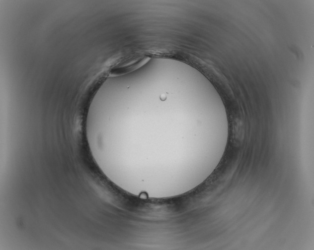 X0000113530260200910161356