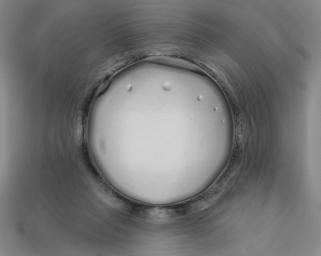 X0000113530261200910161356