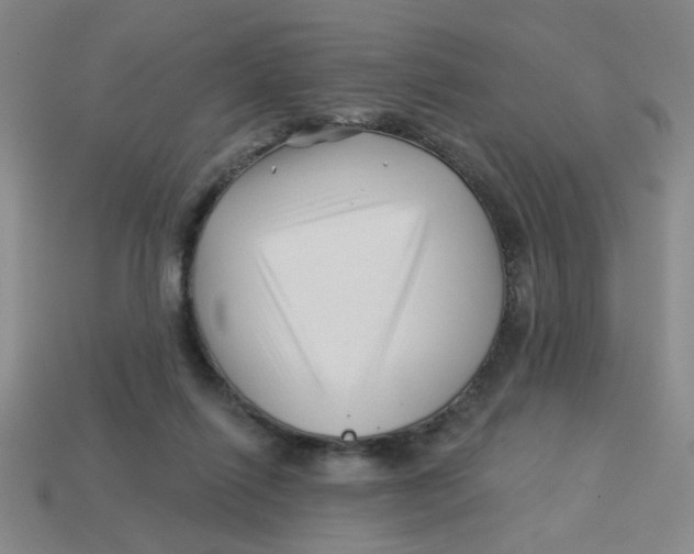 X0000113530262200910161356