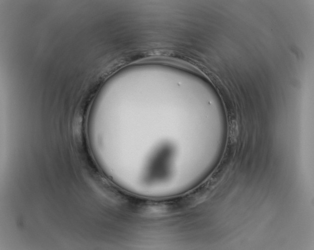 X0000113530263200910161356