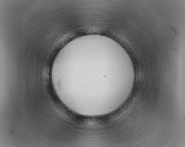 X0000113530264200910161356