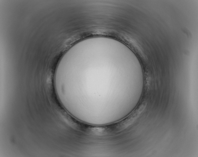 X0000113530265200910161356