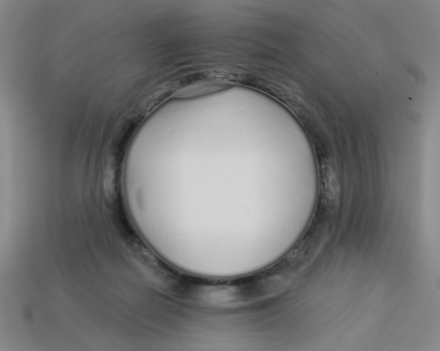 X0000113530266200910161356