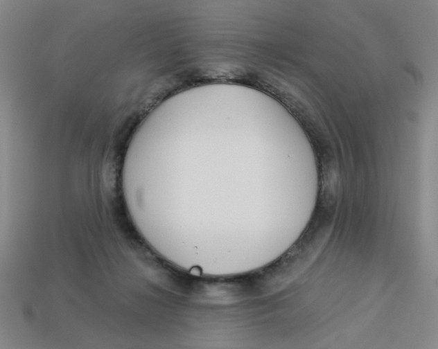 X0000113530268200910161356