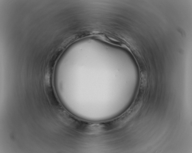 X0000113530269200910161356