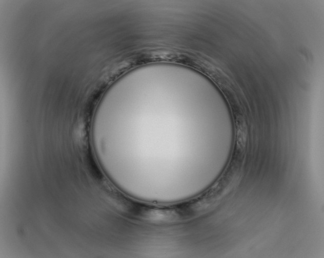 X0000113530270200910161356