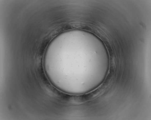 X0000113530271200910161356