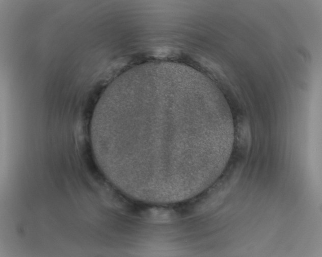 X0000113530272200910161356