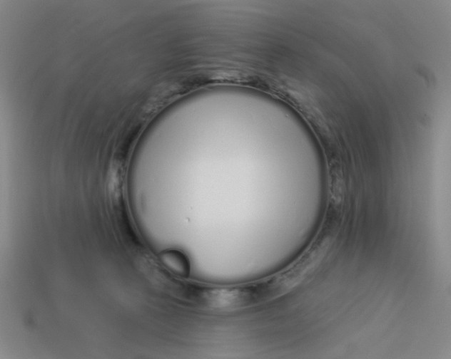 X0000113530273200910161356