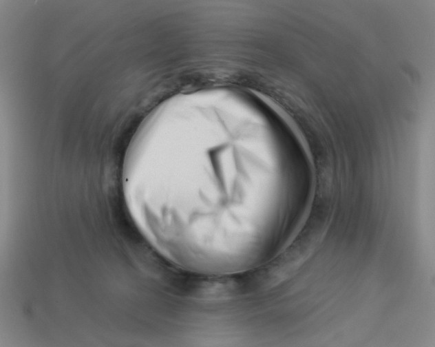 X0000113530274200910161356