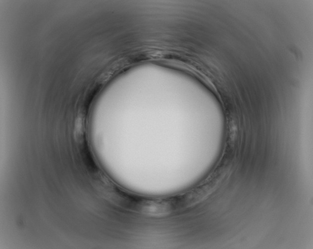 X0000113530275200910161356