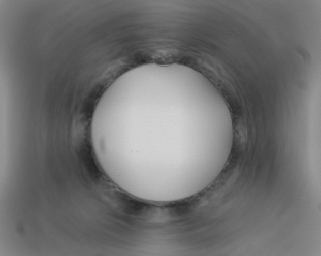 X0000113530276200910161356