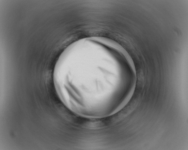 X0000113530278200910161356