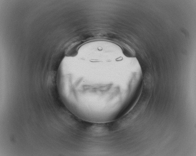 X0000113530280200910161356