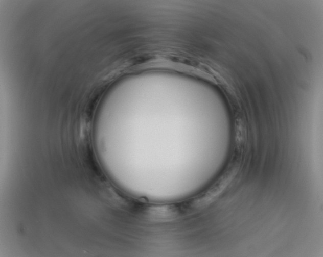 X0000113530281200910161356