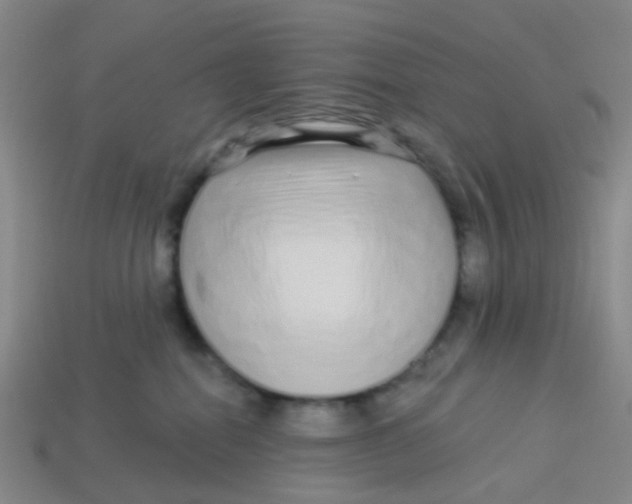 X0000113530282200910161356