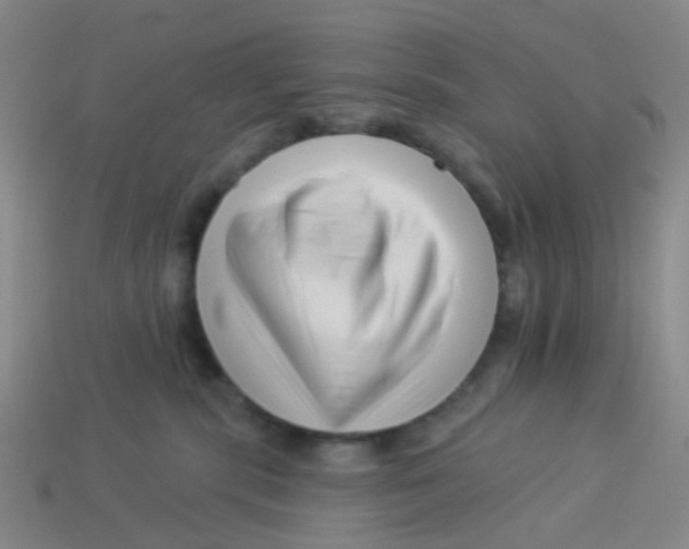 X0000113530283200910161356