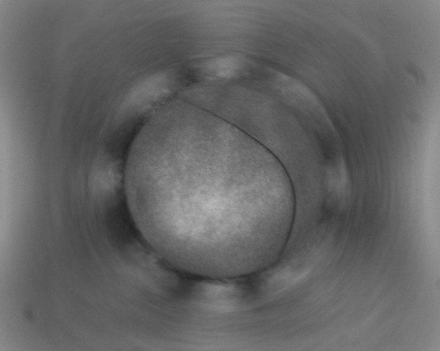 X0000113530284200910161356