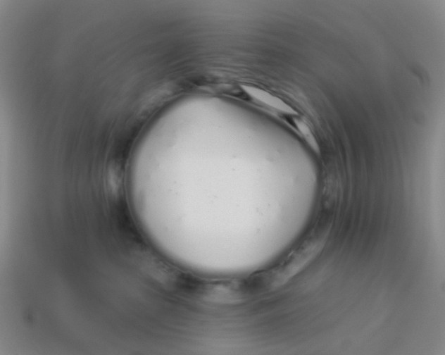 X0000113530285200910161356