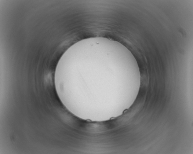 X0000113530286200910161356