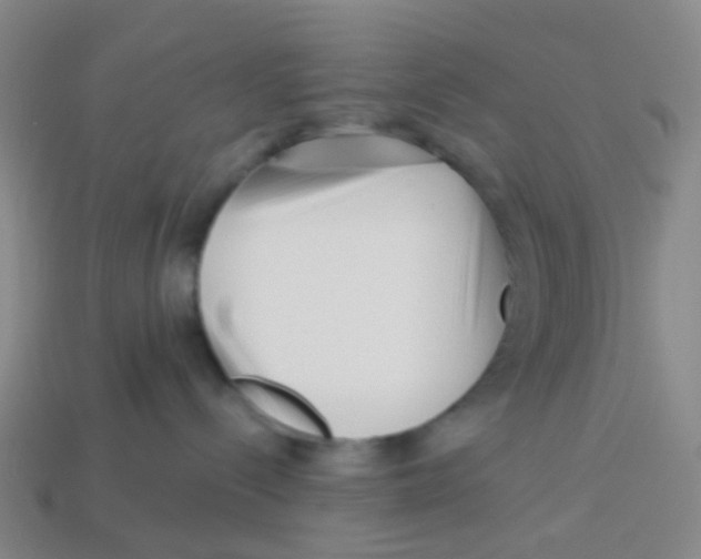 X0000113530288200910161356