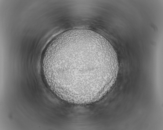 X0000113530290200910161356