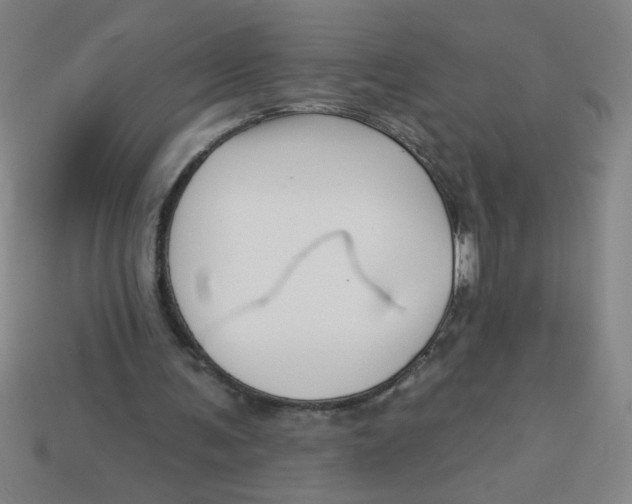 X0000113530291200910161355