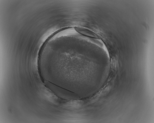 X0000113530292200910161355