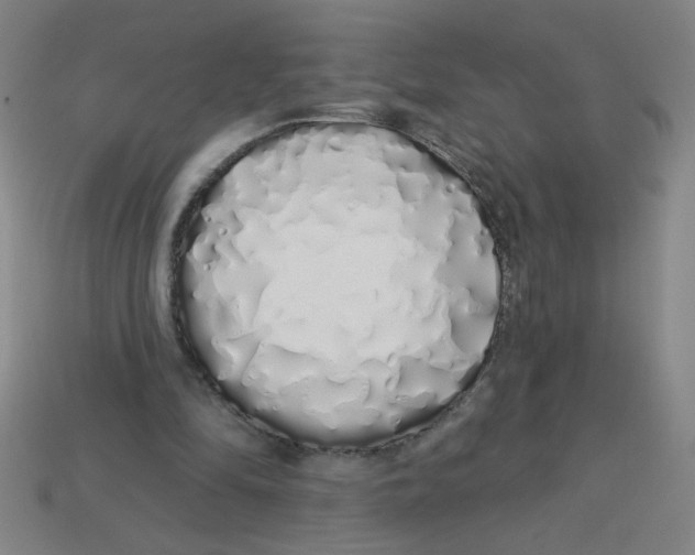 X0000113530294200910161355