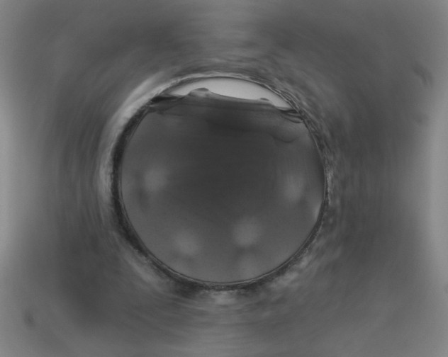 X0000113530295200910161355