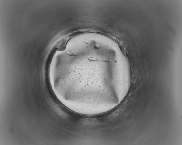 X0000113530296200910161355