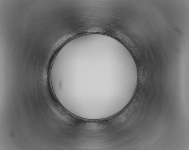 X0000113530298200910161355