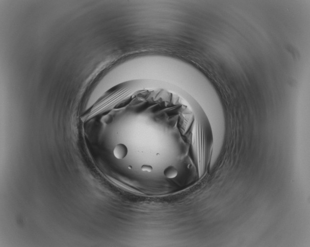 X0000113530300200910161355