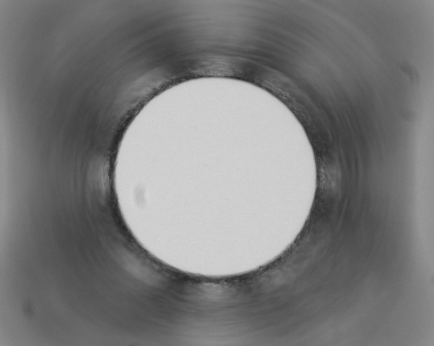 X0000113530302200910161355