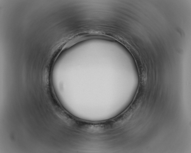 X0000113530303200910161355